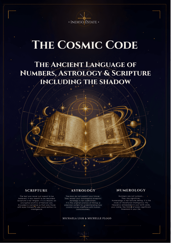 The Cosmic Code book cover
